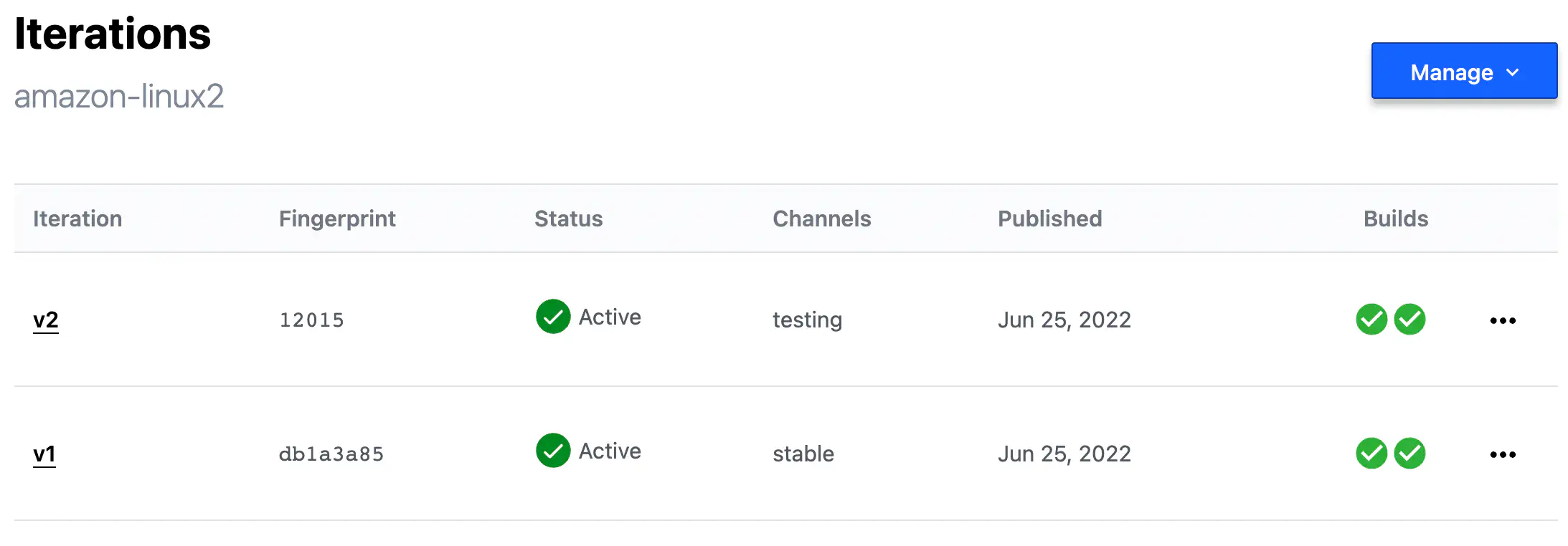 HCP Packer Iterations